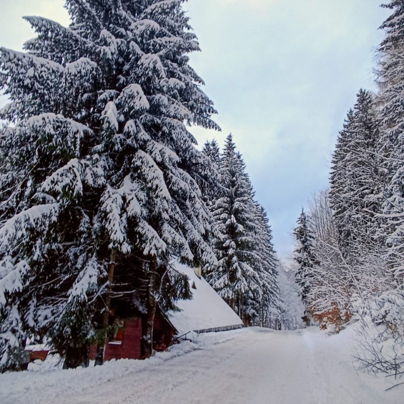 IMG_20260102_151600~2